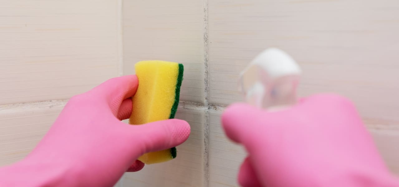 Nettoyage des carreaux avec une éponge et un pulvérisateur Nettoyage des carreaux avec une éponge et un pulvérisateur