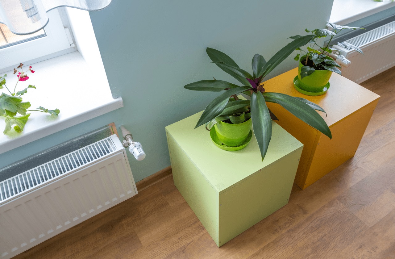 Salon parquet en chêne